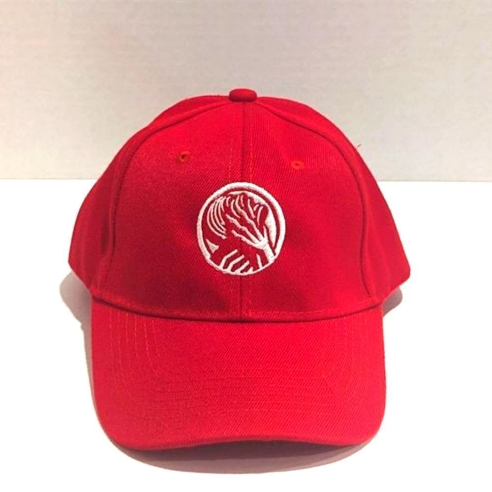 Velcro Red Hat: Original Agony Art Embroidery, Expressing Suffering and Soul